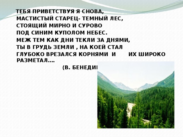 ТЕБЯ ПРИВЕТСТВУЯ Я СНОВА,  МАСТИСТЫЙ СТАРЕЦ- ТЕМНЫЙ ЛЕС,  СТОЯЩИЙ МИРНО И СУРОВО  ПОД СИНИМ КУПОЛОМ НЕБЕС.  МЕЖ ТЕМ КАК ДНИ ТЕКЛИ ЗА ДНЯМИ,  ТЫ В ГРУДЬ ЗЕМЛИ , НА КОЕЙ СТАЛ  ГЛУБОКО ВРЕЗАЛСЯ КОРНЯМИ И ИХ ШИРОКО РАЗМЕТАЛ….  (В. БЕНЕДИКТОВ)