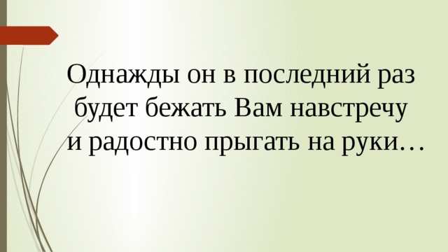 Однажды он в последний раз  будет бежать Вам навстречу и радостно прыгать на руки… 