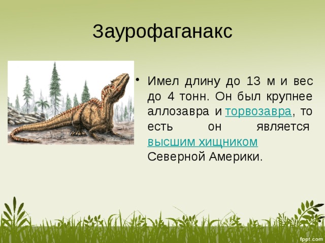 Заурофаганакс Имел длину до 13 м  и вес до 4 тонн. Он был крупнее аллозавра и  торвозавра , то есть он является  высшим хищником   Северной Америки. 