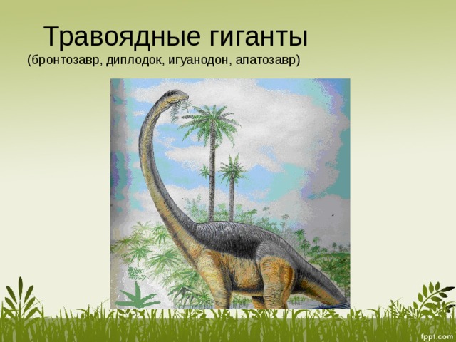  Травоядные гиганты  (бронтозавр, диплодок, игуанодон, апатозавр) 