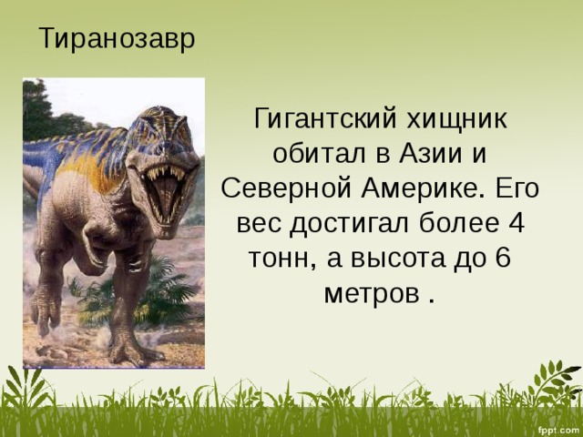Тиранозавр Гигантский хищник обитал в Азии и Северной Америке. Его вес достигал более 4 тонн, а высота до 6 метров . 