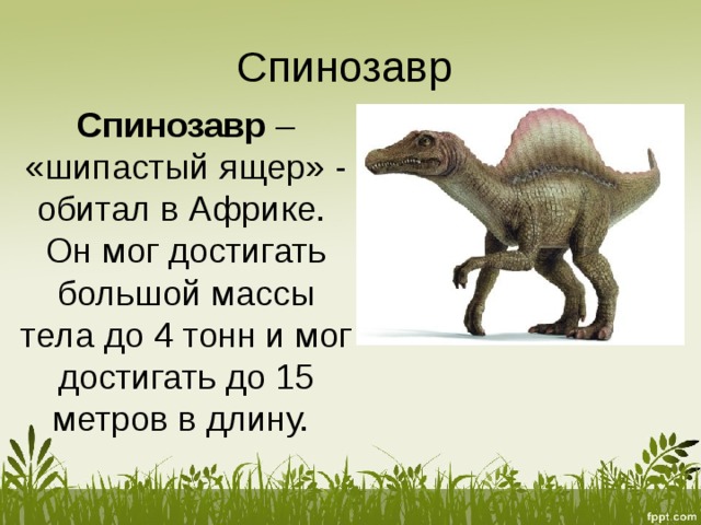 Спинозавр Спинозавр  – «шипастый ящер» - обитал в Африке. Он мог достигать большой массы тела до 4 тонн и мог достигать до 15 метров в длину. 