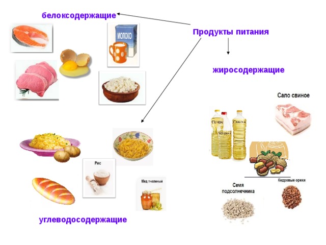 Питательные вещества в продуктах