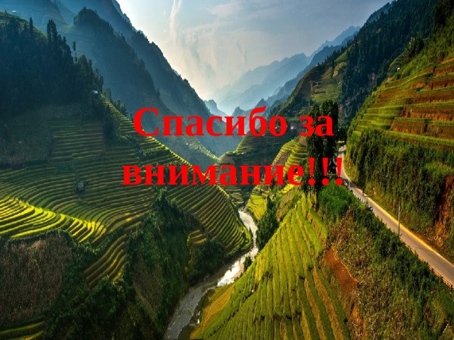 Спасибо за внимание!!! 