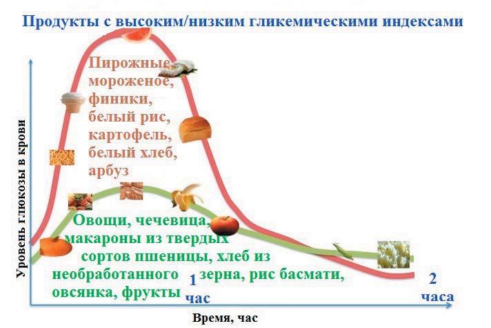 Какие продукты повышают инсулин в крови таблица Проект "Белковое питание спортсменов" Руководители: Зыкова Е.Н., учитель биологи