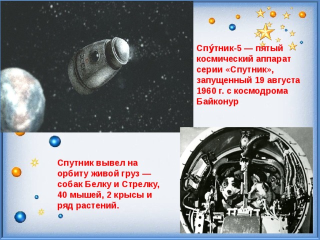 Спу́тник-5 — пятый космический аппарат серии «Спутник», запущенный 19 августа 1960 г. с космодрома Байконур Спутник вывел на орбиту живой груз — собак Белку и Стрелку, 40 мышей, 2 крысы и ряд растений. 