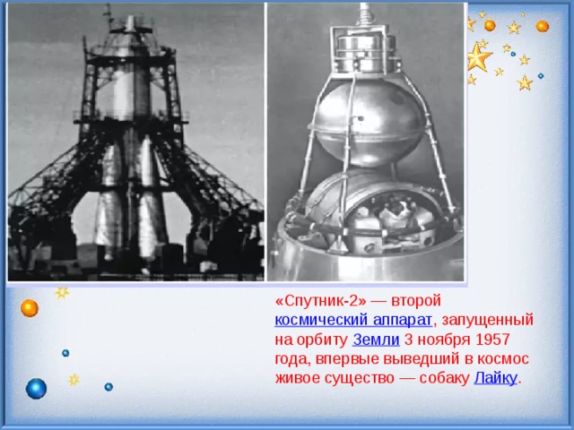 «Спутник-2» — второй  космический аппарат , запущенный на орбиту  Земли  3 ноября 1957 года, впервые выведший в космос живое существо — собаку  Лайку . 