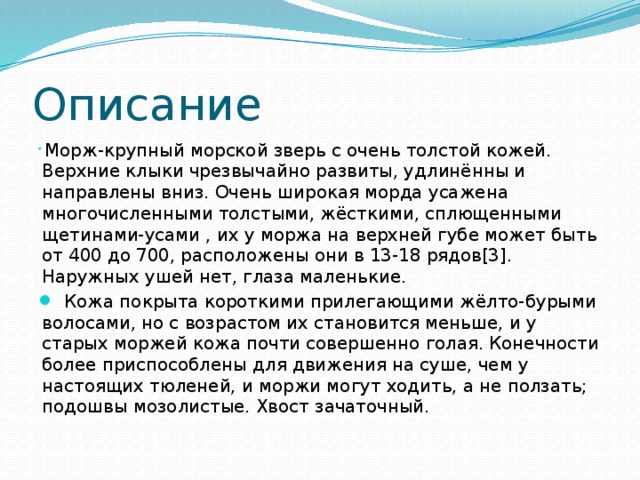 Описание  Морж-крупный морской зверь с очень толстой кожей. Верхние клыки чрезвычайно развиты, удлинённы и направлены вниз. Очень широкая морда усажена многочисленными толстыми, жёсткими, сплющенными щетинами-усами , их у моржа на верхней губе может быть от 400 до 700, расположены они в 13-18 рядов[3]. Наружных ушей нет, глаза маленькие.  Кожа покрыта короткими прилегающими жёлто-бурыми волосами, но с возрастом их становится меньше, и у старых моржей кожа почти совершенно голая. Конечности более приспособлены для движения на суше, чем у настоящих тюленей, и моржи могут ходить, а не ползать; подошвы мозолистые. Хвост зачаточный. 