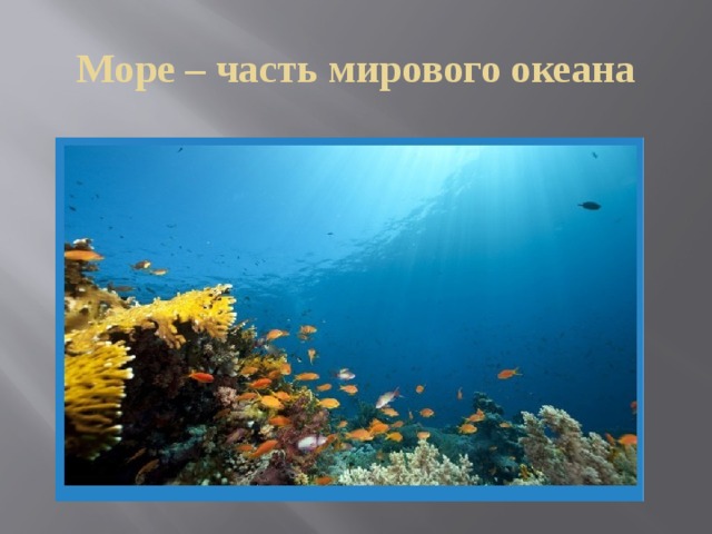 Море – часть мирового океана 