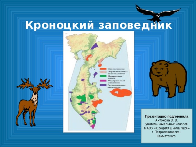 Южно камчатский заказник презентация