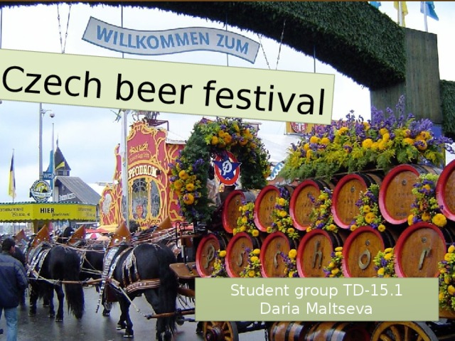 Czech beer festival Student group TD-15.1  Daria Maltseva 