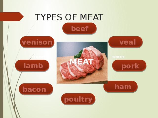 TYPES OF MEAT  beef venison  veal текст текст MEAT  lamb  pork  ham bacon  poultry  