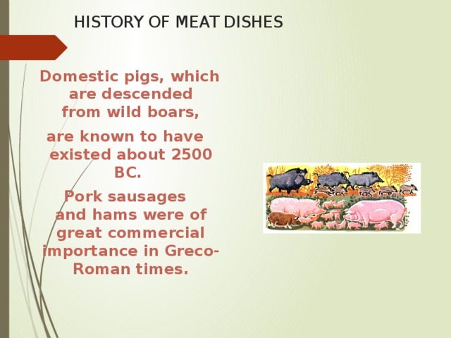 HISTORY OF MEAT DISHES  Domestic pigs, which are descended from wild boars,  are known to have existed about 2500 BC.    Pork sausages and hams were of great commercial importance in Greco-Roman times.   