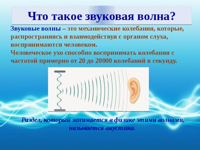 Что такое звуковая волна? Звуковые волны – это механические колебания, которые, распространяясь и взаимодействуя с органом слуха, воспринимаются человеком. Человеческое ухо способно воспринимать колебания с частотой примерно от 20 до 20000 колебаний в секунду. Раздел, который занимается в физике этими волнами, называется акустика.