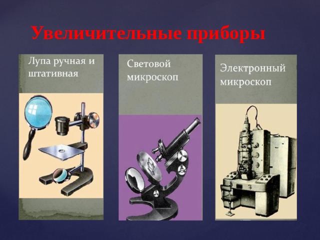 Увеличительные приборы. Многообразие и разнообразие увеличительных приборов. Какие увеличительные приборы которые используют учёные. Биология 5 класс увеличительные приборы- штативная лупа. Увеличительные приборы в современном мире сообщение.