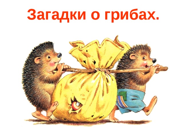 Загадки о грибах. 