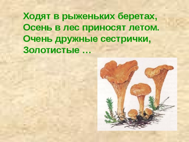 Ходят в рыженьких беретах,   Осень в лес приносят летом.   Очень дружные сестрички,   Золотистые … 