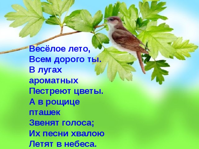 Звенящие голоса. Веселое лето всем дорого ты в лугах ароматных пестреют цветы. Плещеев веселое лето всем дорого ты. Веселое лето всем дорого ты. Солнышко блестит после летних.