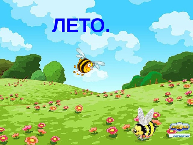 ЛЕТО. 