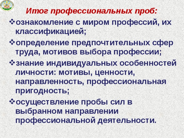Итог профессиональных проб: ознакомление с миром профессий, их классификацией; определение предпочтительных сфер труда, мотивов выбора профессии; знание индивидуальных особенностей личности: мотивы, ценности, направленность, профессиональная пригодность; осуществление пробы сил в выбранном направлении профессиональной деятельности. 