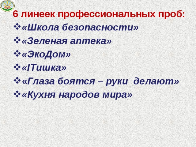 6 линеек профессиональных проб: «Школа безопасности»  «Зеленая аптека» «ЭкоДом» « IT ишка» « Глаза боятся – руки делают» «Кухня народов мира»  