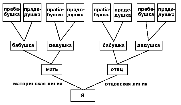 Что такое родословие 5 класс. Смотреть фото Что такое родословие 5 класс. Смотреть картинку Что такое родословие 5 класс. Картинка про Что такое родословие 5 класс. Фото Что такое родословие 5 класс