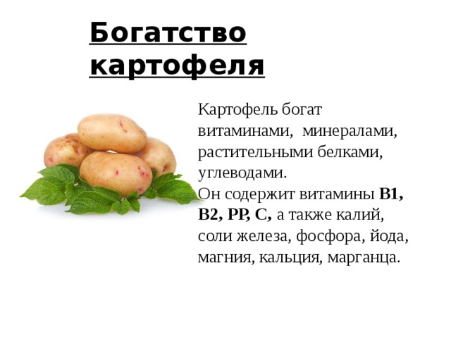 Картофель углеводы