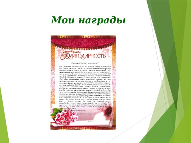  Мои награды 