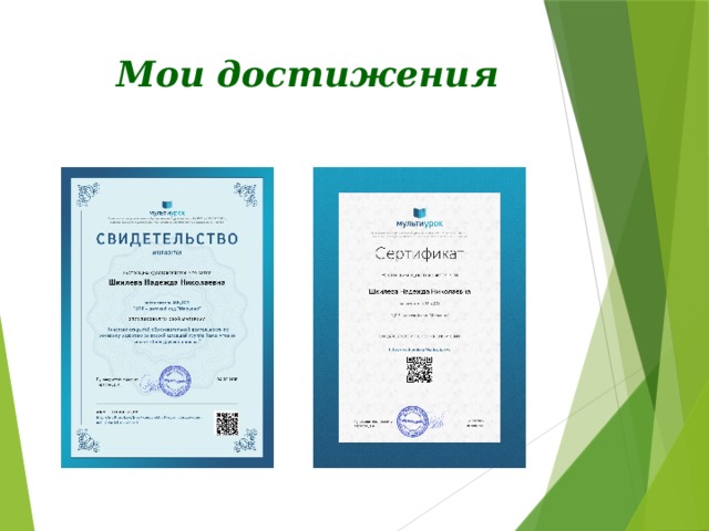Мои достижения 