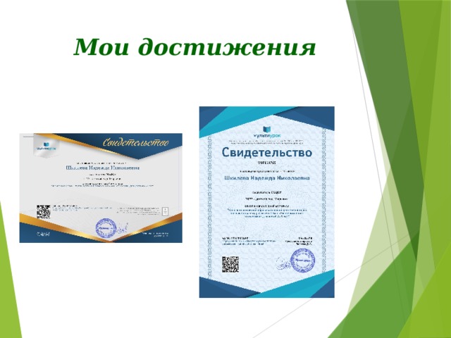  Мои достижения 