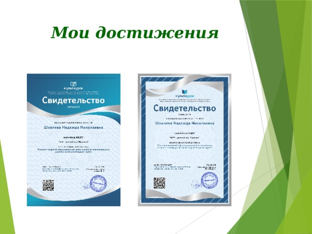  Мои достижения 