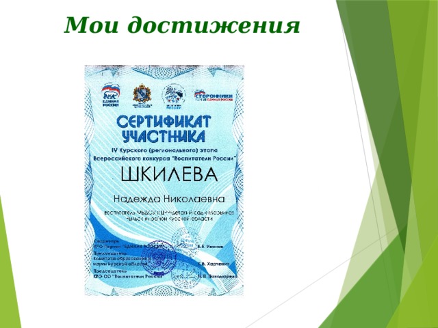 Мои достижения 
