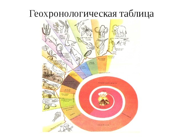 Рисунок геохронологическая таблица