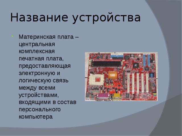 Какое животное дало название необходимой принадлежности персонального компьютера