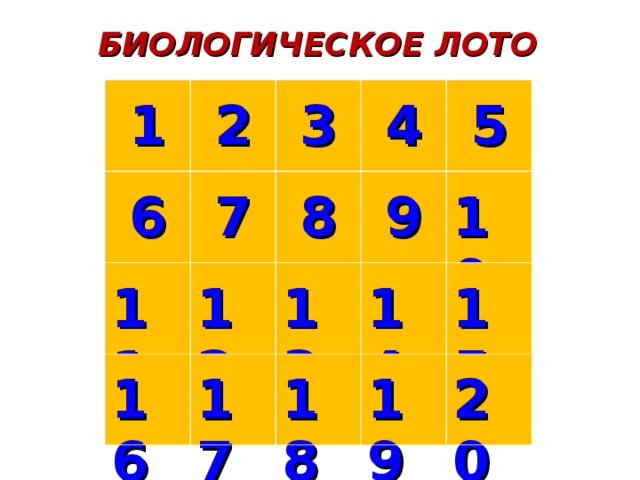 БИОЛОГИЧЕСКОЕ ЛОТО 1 2 6 3 11 7 8 4 16 12 9 5 13 17 10 14 18 15 19 20 