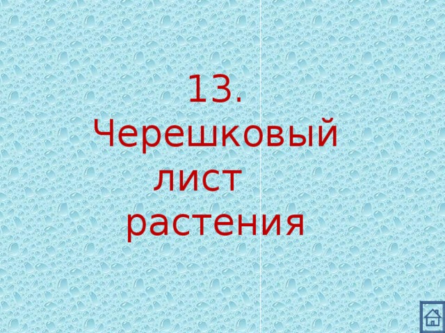 13. Черешковый лист растения 