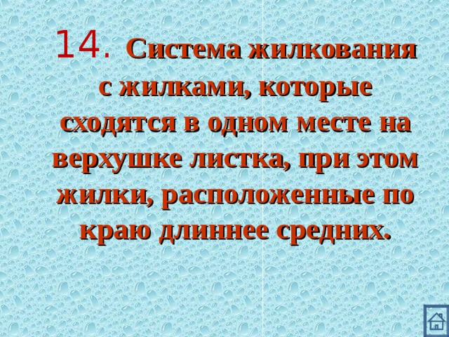 14. Система жилкования с жилками, которые сходятся в одном месте на верхушке листка, при этом жилки, расположенные по краю длиннее средних. 