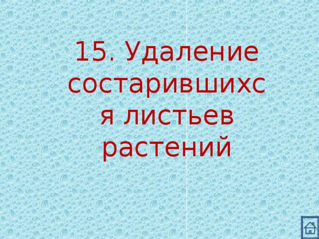 15. Удаление состарившихся листьев растений 