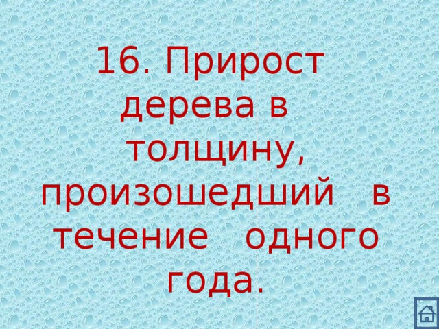 16. Прирост дерева в толщину, произошедший в течение одного года. 