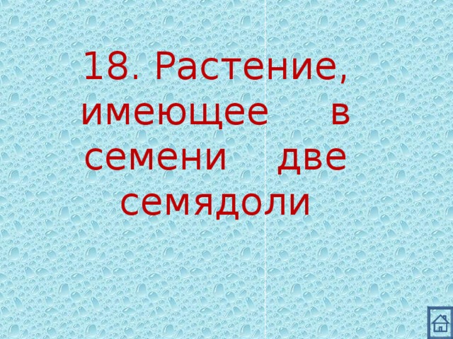 18. Растение, имеющее в семени две семядоли 