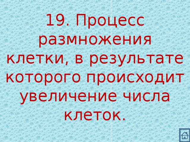 19. Процесс размножения клетки, в результате которого происходит увеличение числа клеток. 