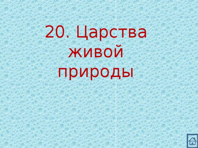 20. Царства живой природы 