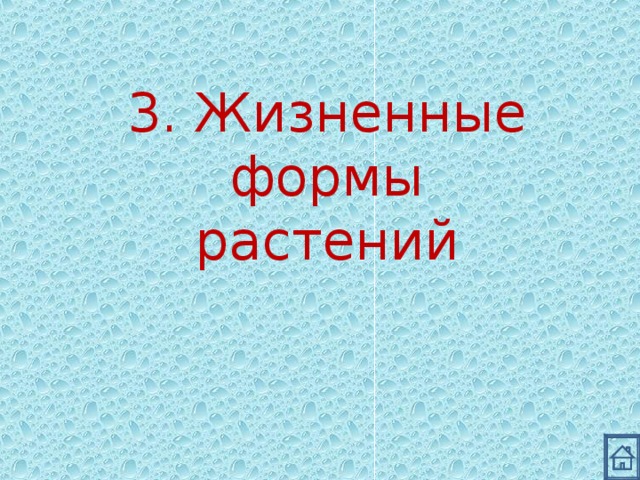 3. Жизненные формы растений 