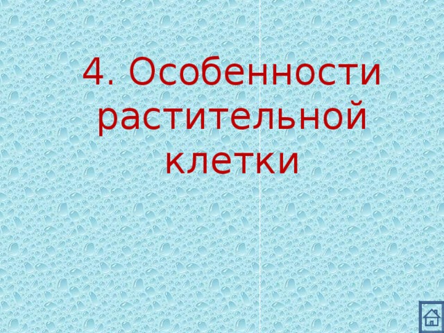 4. Особенности растительной клетки 