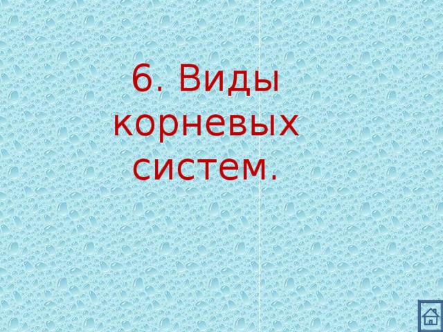 6. Виды корневых систем. 