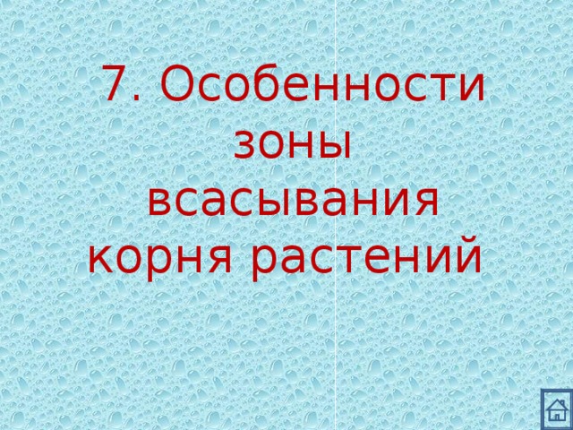 7. Особенности зоны всасывания корня растений 
