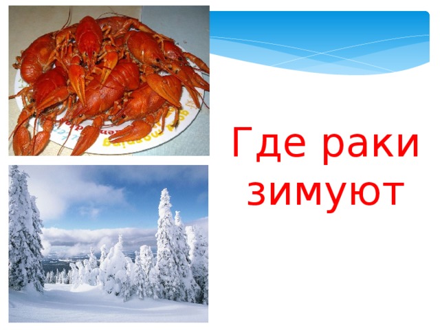 Где раки зимуют рисунок