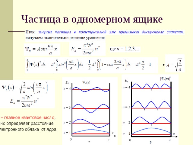 Частица в одномерном ящике n – главное квантовое число , Оно определяет расстояние электронного облака от ядра. 