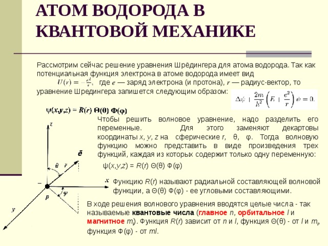 АТОМ ВОДОРОДА В КВАНТОВОЙ МЕХАНИКЕ    Рассмотрим сейчас решение уравнения Шрёдингера для атома водорода. Так как потенциальная функция электрона в атоме водорода имеет вид                                 где  e  — заряд электрона (и протона),  r  — радиус-вектор, то уравнение Шредингера запишется следующим образом: Чтобы решить волновое уравнение, надо разделить его переменные. Для этого заменяют декартовы координаты  x ,  y ,  z  на сферические  r , θ, φ. Тогда волновую функцию можно представить в виде произведения трех функций, каждая из которых содержит только одну переменную: ψ( x , y , z ) =  R ( r ) Θ(θ) Φ(φ) Функцию  R ( r ) называют радиальной составляющей волновой функции, а Θ(θ) Φ(φ) - ее угловыми составляющими. В ходе решения волнового уравнения вводятся целые числа - так называемые  квантовые числа  ( главное   n , орбитальное   l  и магнитное   m l ). Функция  R ( r ) зависит от  n  и  l , функция Θ(θ) - от  l  и  m l , функция Φ(φ) - от  ml . 