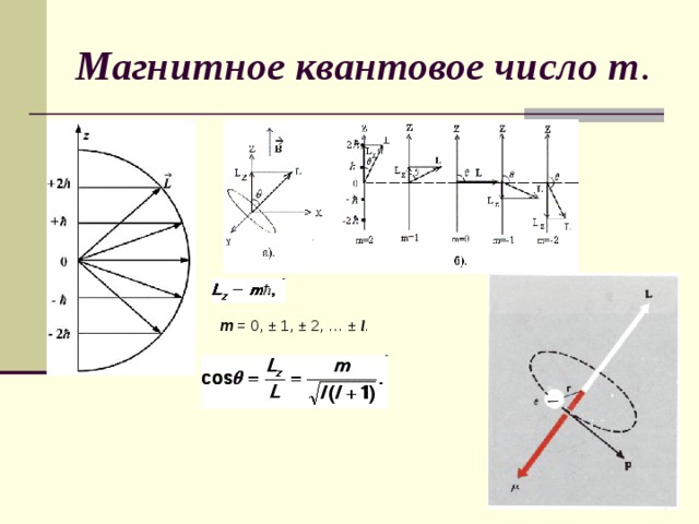 Магнитное квантовое число m . m = 0, ± 1, ± 2, … ± l .  